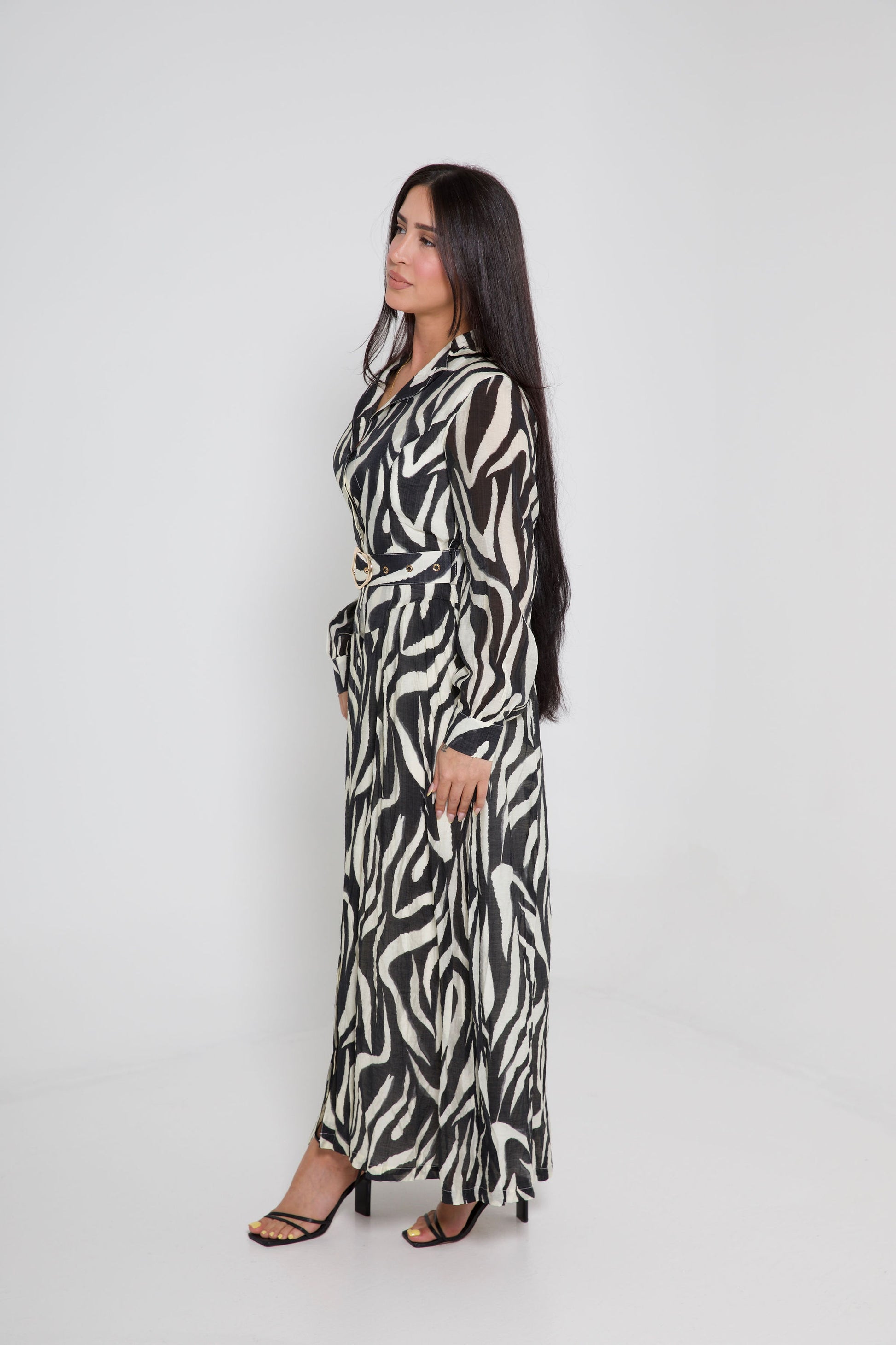 Zara Dress